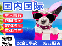 萧山航空托运国际宠物托运 【国